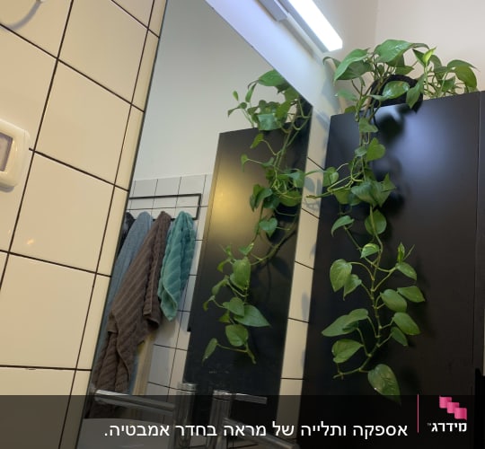 מראה גדולה עם ברז כסוף וכיור לבן